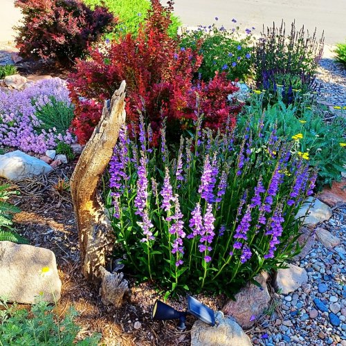 High Country Gardens