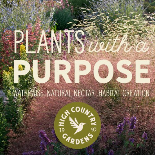 High Country Gardens